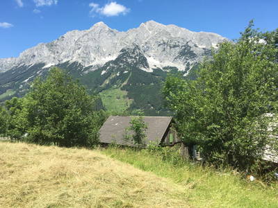 Bild 19 aus  Ferienhaus Schwab - Brunner