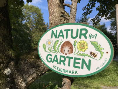 Bild 105 aus  Kräutlhütte Auer