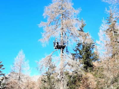 Bild 53 aus  Almhütte Pucher