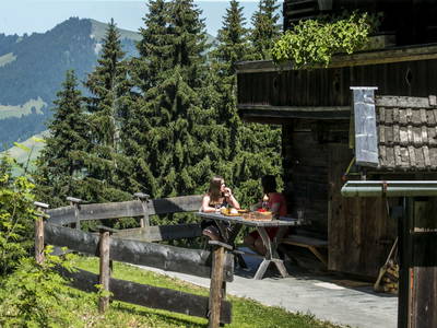 Bild 52 aus  Almhütte Kohlenau