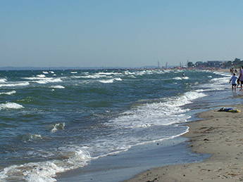 Bild 5 aus  Ferienhof Banck