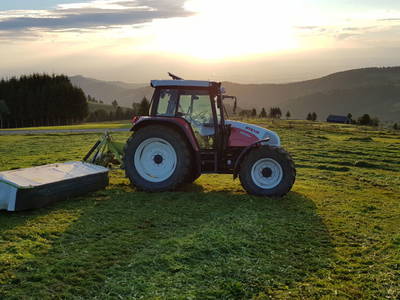 Bild 7 aus  Rotenhof - ein Hof mit Weitblick