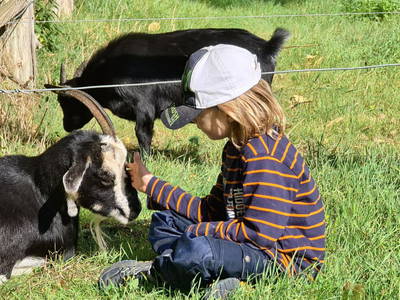 Bild 32 aus  LandSelection Ferienhof Friedrichsthal