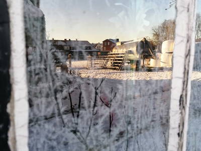 Bild 84 aus  Ostsee Ferienhof Kluvetasch