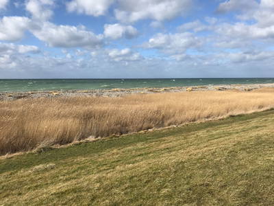 Bild 37 aus  Luftsnapper & Fellnasen