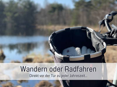 Bild 24 aus  Meine Schule Sehlingen