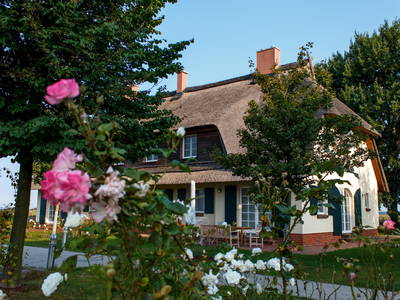 Bild 7 aus  Rügen-Ferienhof