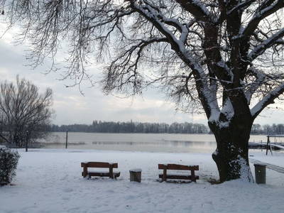 Bild 6 aus  Ferienhof Höffler/im Sternenpark Westhavelland