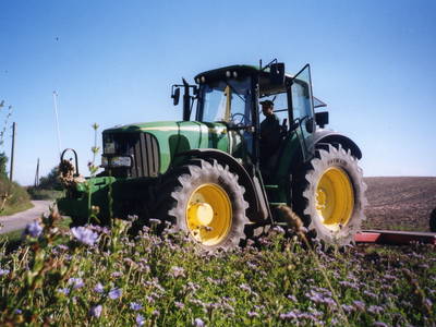 Bild 15 aus  Ferienhof Hafflandsichten auf Usedom