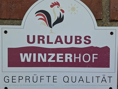 Bild 40 aus  Obst- & Weingut Ingenhof