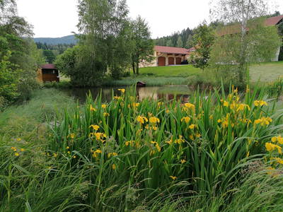 Bild 9 aus  Ferienwohnung Josef Müller