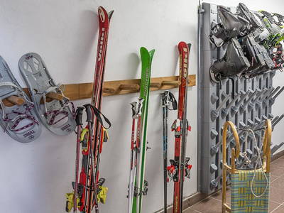 Bild 17 aus  Appartement Birkenhof - Urlaub mit Pferden und Alpakas