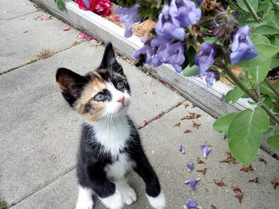 Bild 16 aus  Schloss Neuhausen