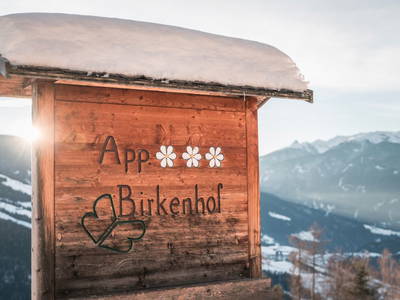 Bild 4 aus  Appartement Birkenhof - Urlaub mit Pferden und Alpakas