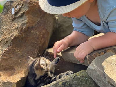 Bild 21 aus  Ferienhof Wübbold