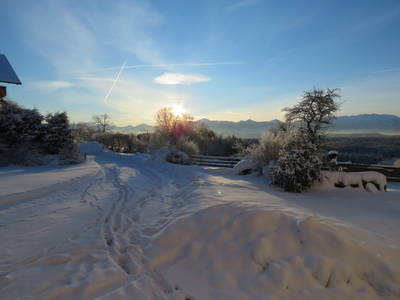 Bild 20 aus  Biohof-Rechenmacher GbR