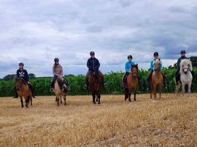 Bild 7 aus  Rumlerhof