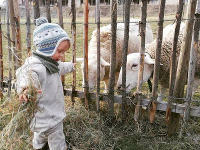 Bild 29 aus  Ferienhof Bentele