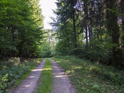 Bild 20 aus  Landurlaub im Sauerland auf dem Ferienhof Verse