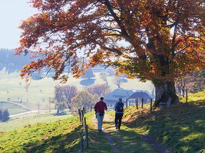 Bild 18 aus  Danielenhof