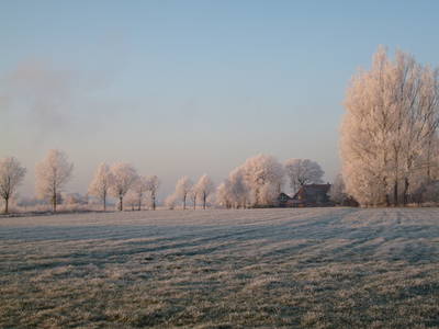 Bild 4 aus  Ferienhof  Steinbruch