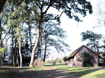 Bild 28 aus  Ferienhof Tödter