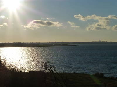 Bild 12 aus  Ferienhaus Achterdeck