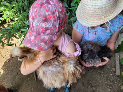 Bild 29 aus  Biobauernhof Peter Anderl Hof