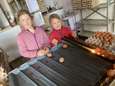 Bild 51 aus  Hof Schlünzen