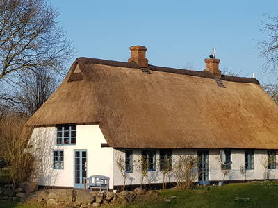Bild 27 aus  Urlaub bei Familie Schmidt in Wippendorf