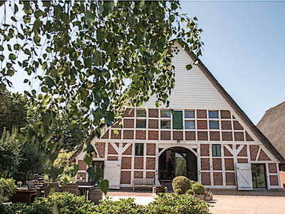 Bild 11 aus  Hof Sand