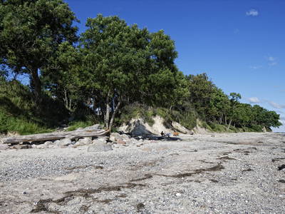 Bild 3 aus  Ferienhof Augustenhöhe