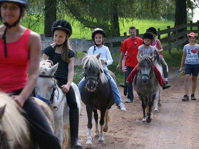 Bild 37 aus  Wietererhof