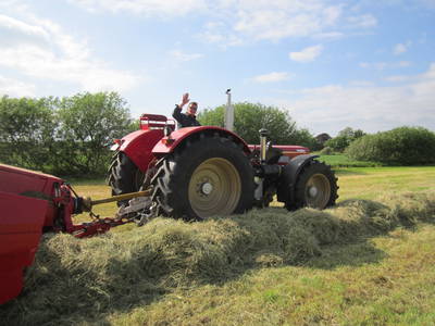 Bild 34 aus  Lindenhof