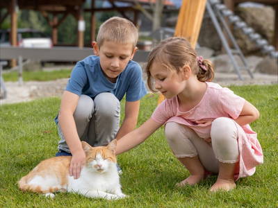 Bild 8 aus  Fuchshof