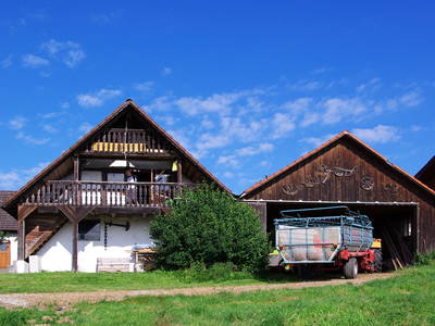 Bild 12 aus  Ferienhof Musch