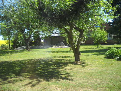 Bild 31 aus  Hof Schlossblick  " der etwas andere Bauernhof "