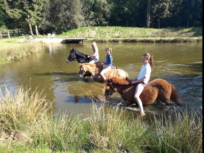 Bild 17 aus  Theeshof