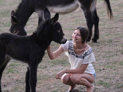 Bild 17 aus  LandSelection Grieshof