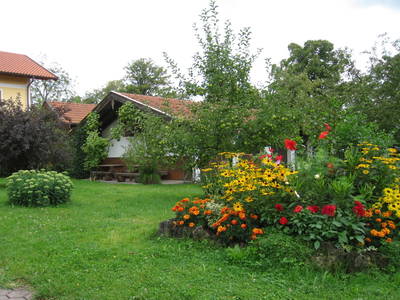 Bild 10 aus  Beim Paulfischer direkt am Chiemseeufer