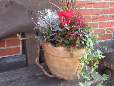 Bild 14 aus  Hof Immenknick *** idyllischer Reiterhof