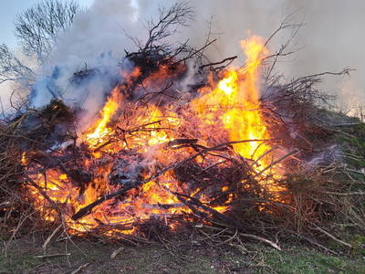 Bild 11 aus  Hof Vorwerk Familie Böye