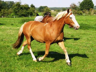 Bild 41 aus  Hof Grüneberg