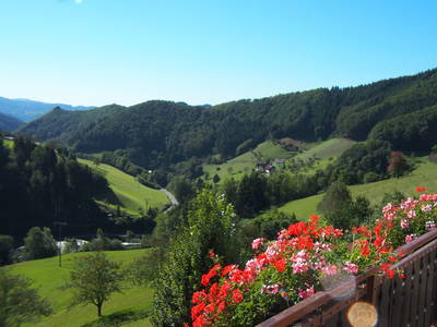 Bild 17 aus  Ferienhaus - Ferienwohnungen Müllerbauernhof im Schwarzwald.