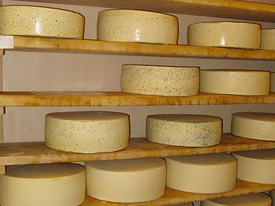 Bild 42 aus  Ramsteinerhof