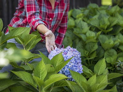 Bild 46 aus  Urlaub am Regen - Biobauernhof Dirnberger