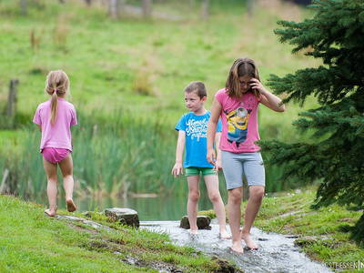 Bild 49 aus  Hotel Gasthof Sieberzmühle
