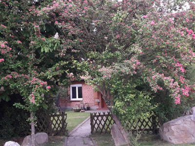 Bild 3 aus  Ferienhof  Steinbruch