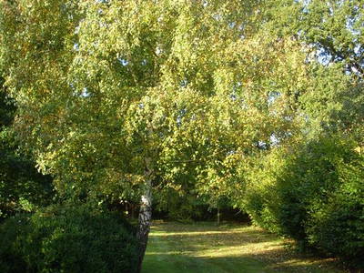 Bild 4 aus  Haus Marianne