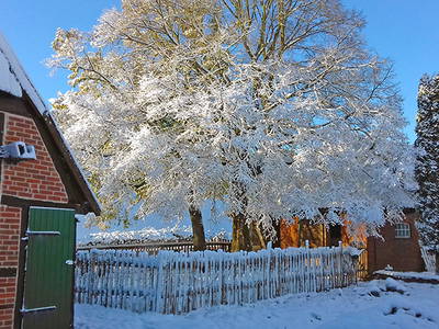 Bild 52 aus  Sonis kleine Farm Grömitz